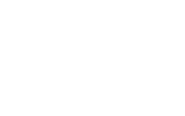 LION State